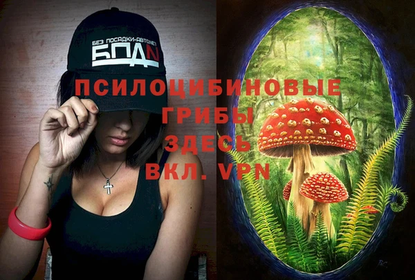 молекула духа Липки
