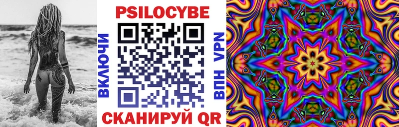 Купить  Красный Холм  Псилоцибиновые грибы MAGIC MUSHROOMS 