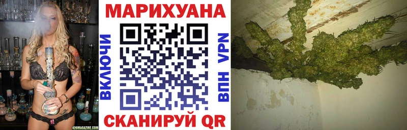 Купить  Красный Холм  Канабис гибрид 